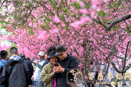 最美海棠季上线 南京莫愁湖公园游人如织
