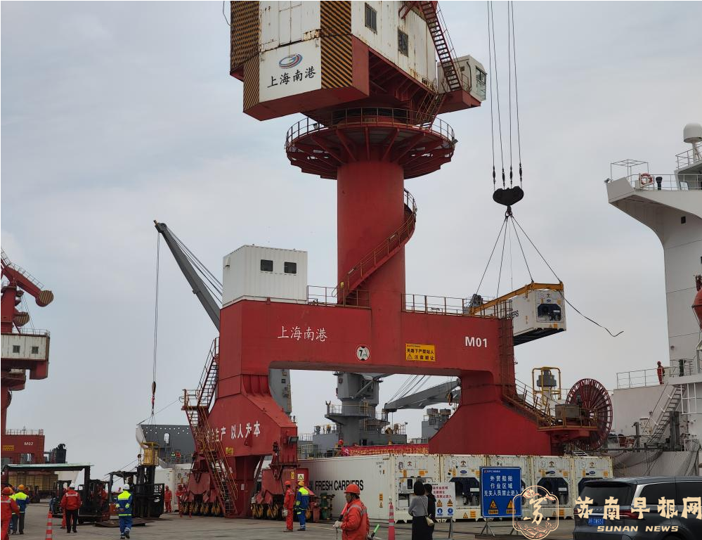 &ldquo;奇异果包船&rdquo;来了