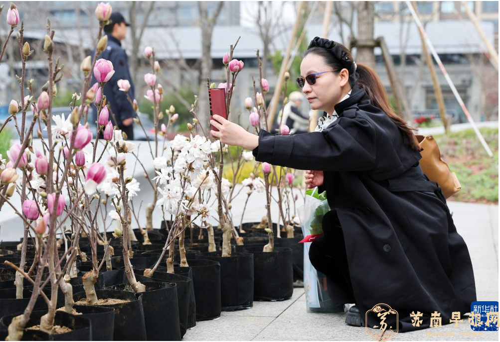 第十届上海市民绿化节暨首届白玉兰文化节举行