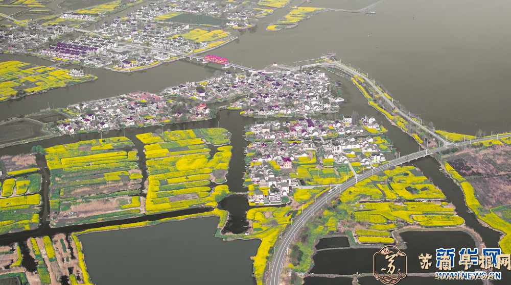 江苏兴化：春日乡村美如画