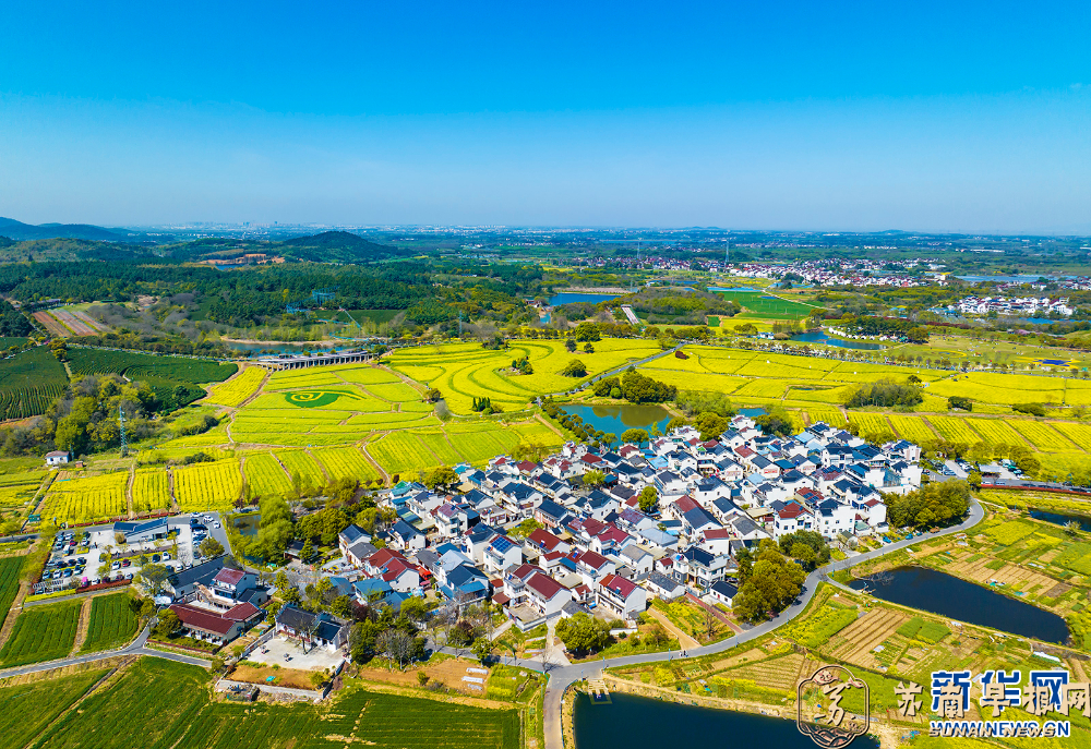 打卡油菜花海 乐享乡村&ldquo;慢生活&rdquo;