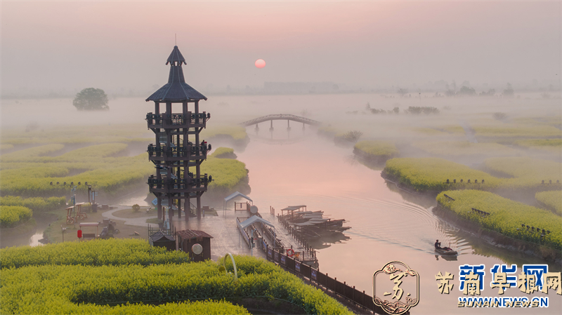 江苏兴化：雾绕千垛油菜花海 美如仙境