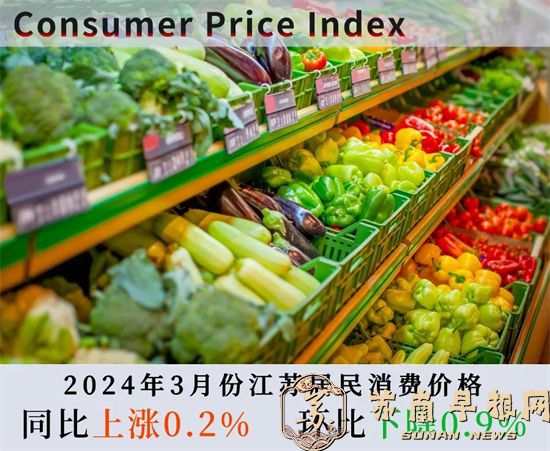 2024年3月份江苏CPI同比上涨0.2%，PPI同比下降3.0%1.jpg