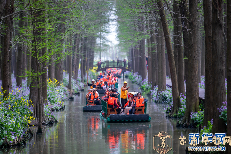 江苏兴化：错峰出行 乐享春光