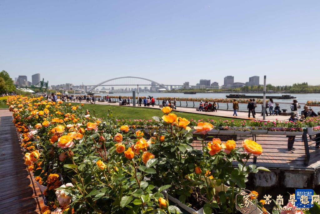 2024上海（国际）花展开幕