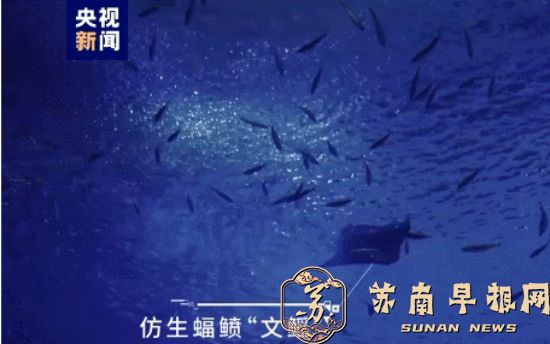 真假难辨！这条仿生鱼有“眼睛”“耳朵” 还有“智慧大脑”2_副本.jpg