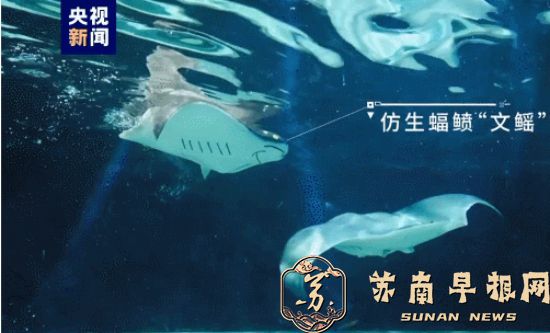 真假难辨！这条仿生鱼有&ldquo;眼睛&rdquo;&ldquo;耳朵&rdquo; 还有&ldquo;智慧大脑&rdquo;