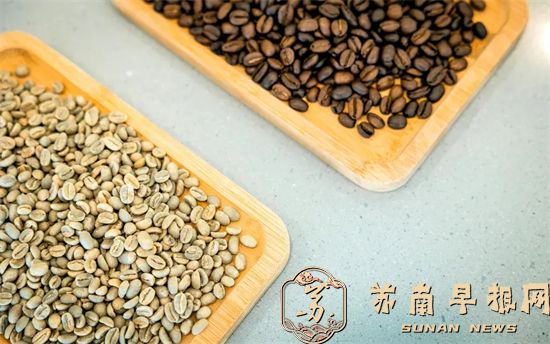 同比增947.6%！一季度昆山进口咖啡生豆总货值9.3亿元1.jpg
