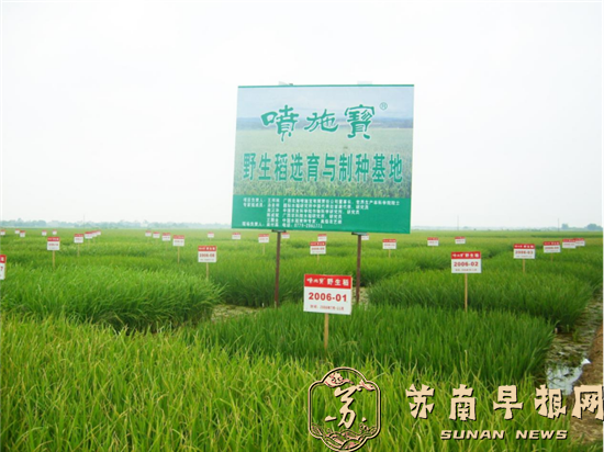 00卓有远见的农民企业家-- 提出减少化肥使用量第一人2025.5.21(3)2060.png