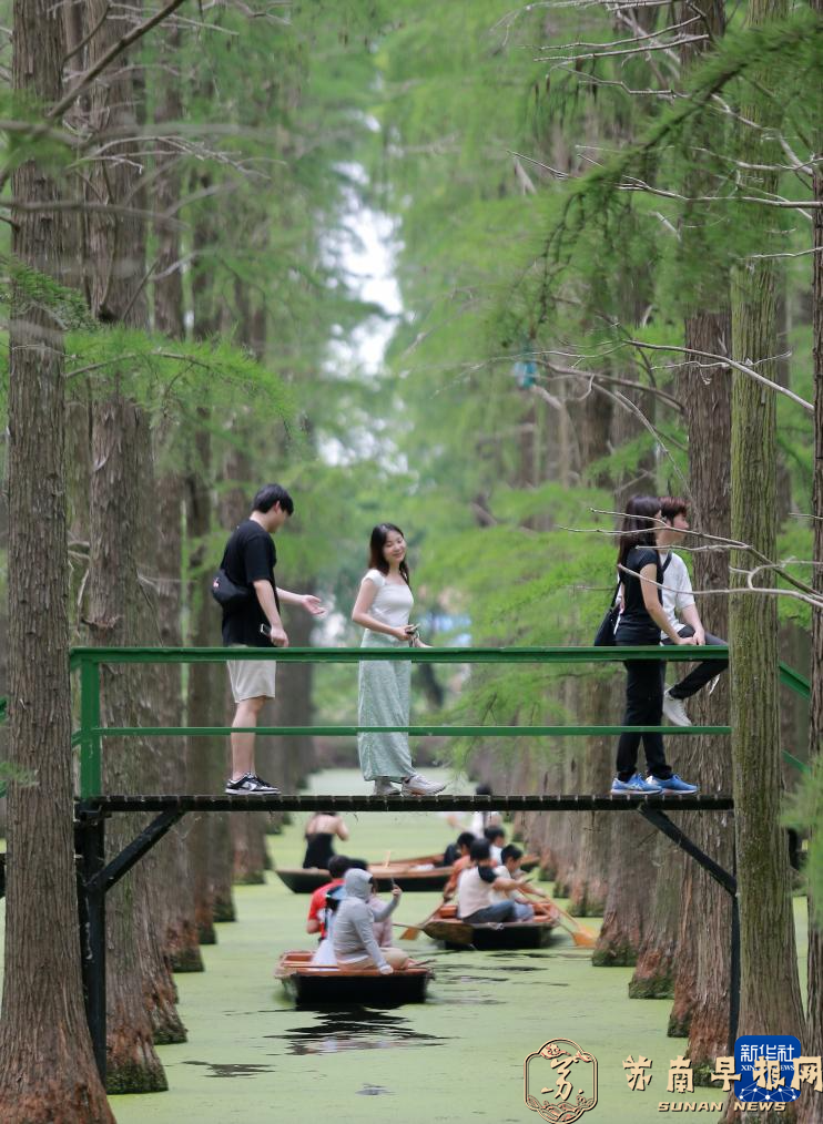 &ldquo;水上森林&rdquo;享清凉