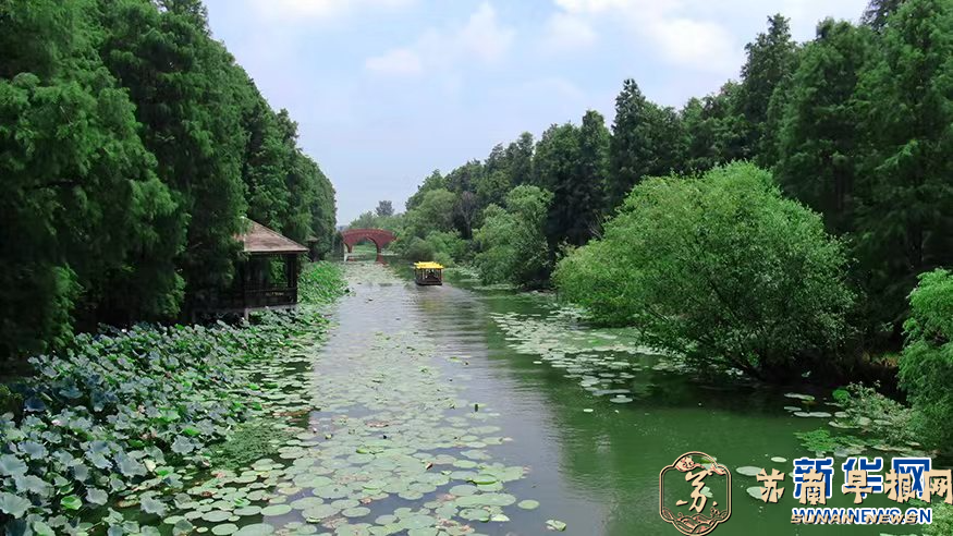 江苏高邮：初夏&ldquo;森&rdquo;呼吸 悠游&ldquo;绿野仙踪&rdquo;