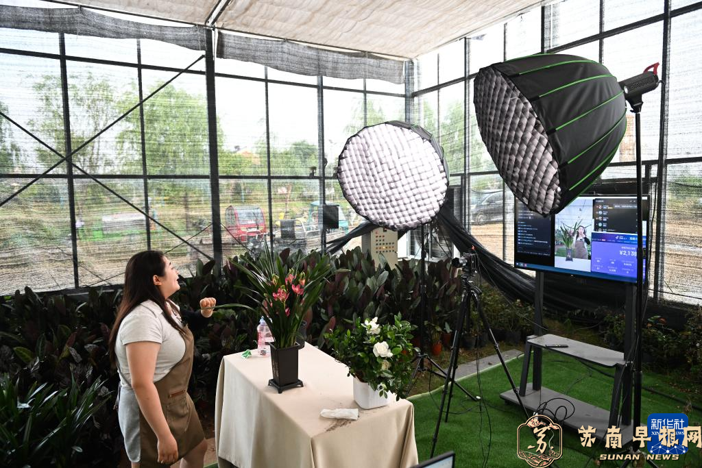 江苏宿迁：将流量变销量 大力培育&ldquo;村播&rdquo;经济