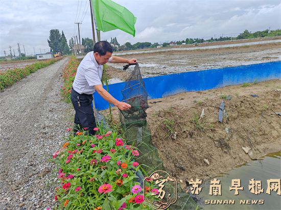 句容徐巷村：&ldquo;稻虾共生&rdquo;种养模式好，群众田野忙得欢