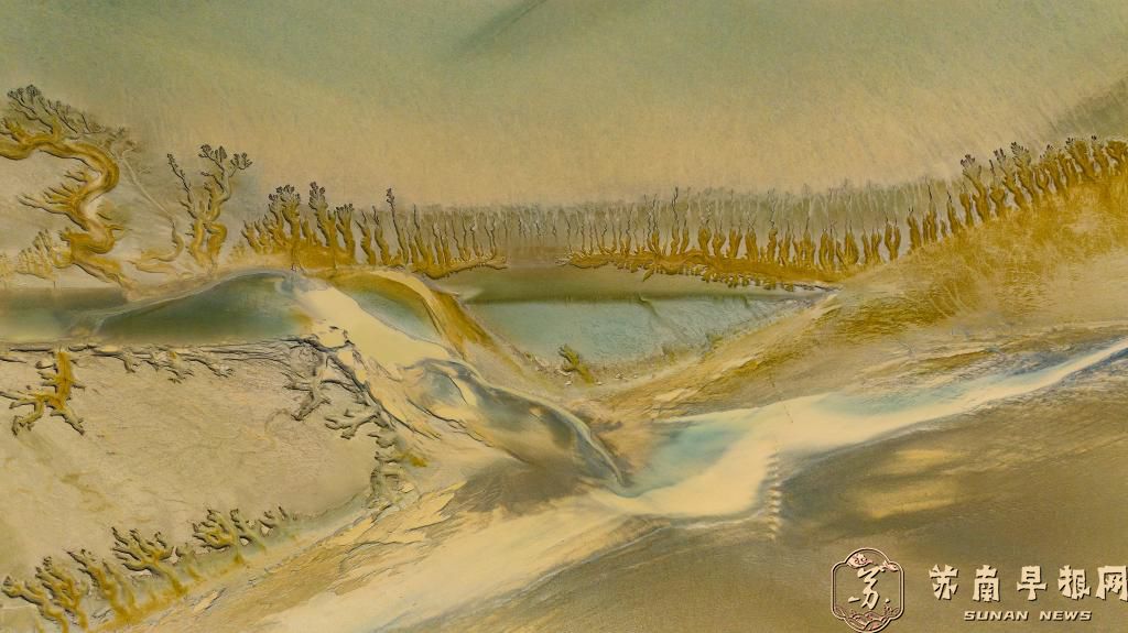 江苏东台：条子泥湿地现唯美&ldquo;潮汐树&rdquo;画卷