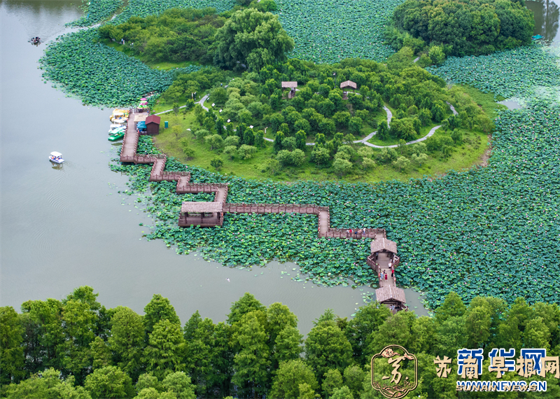 江苏兴化：暑期旅游迎来高峰