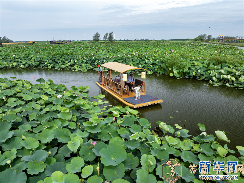 江苏兴化：荷香浮动诗意浓