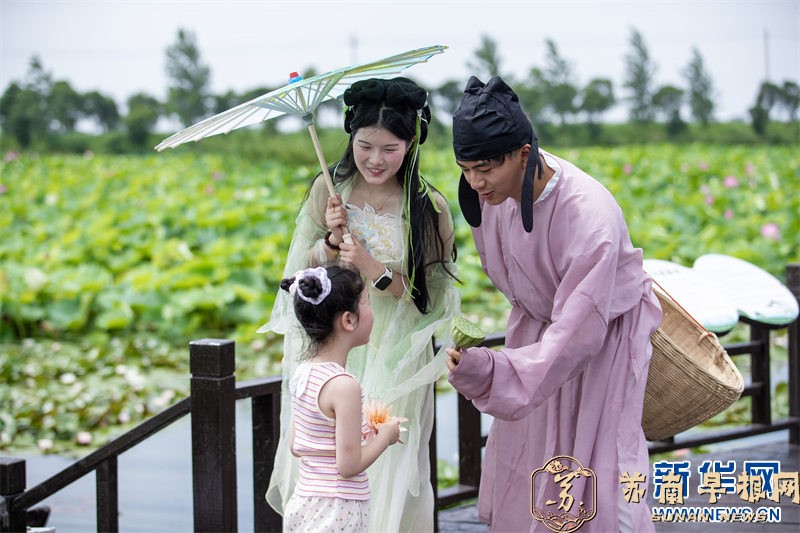 江苏兴化：荷香浮动诗意浓