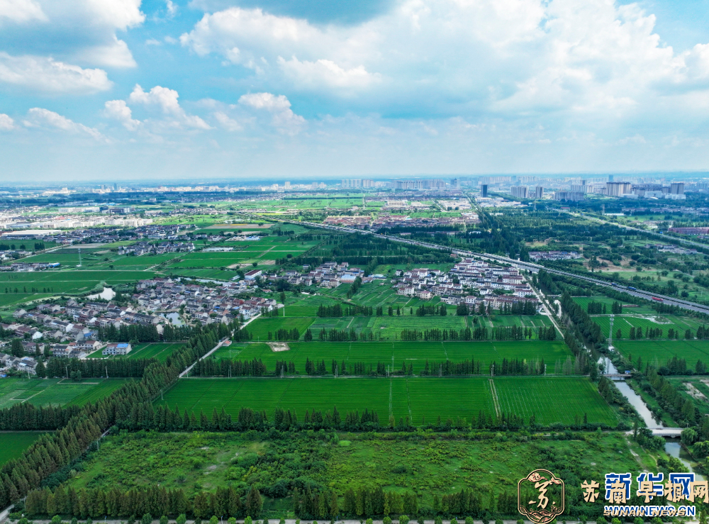 江苏泰兴：夏日田园风光美