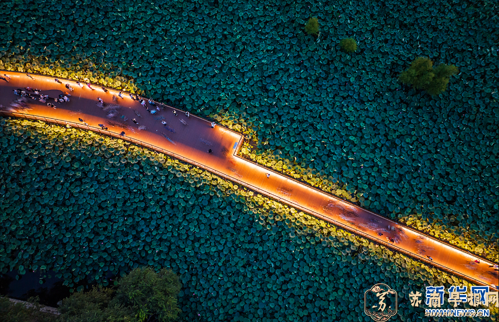 南京玄武湖：落日熔金 添彩文旅