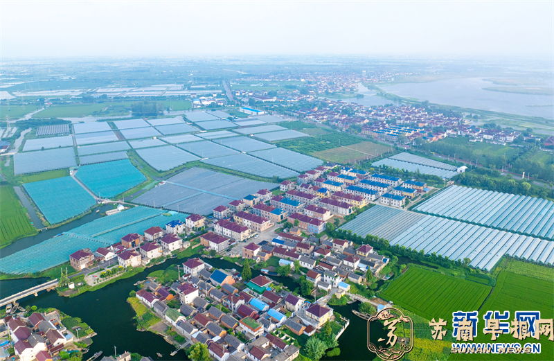 江苏兴化：田园美 乡村兴
