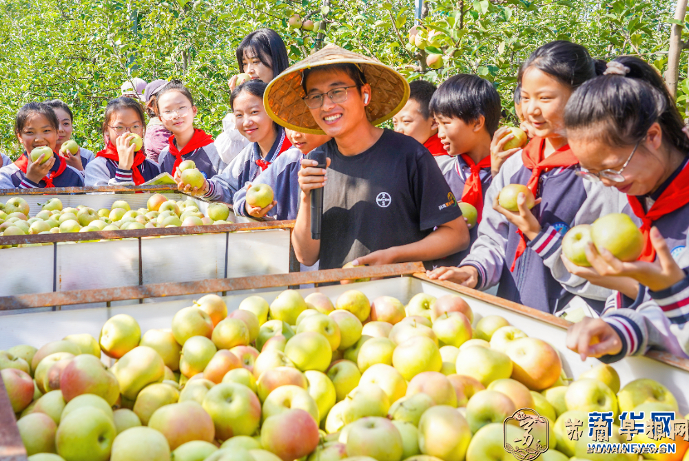 江苏宿迁：乐享田间课堂 这里&ldquo;丰&rdquo;景独好  