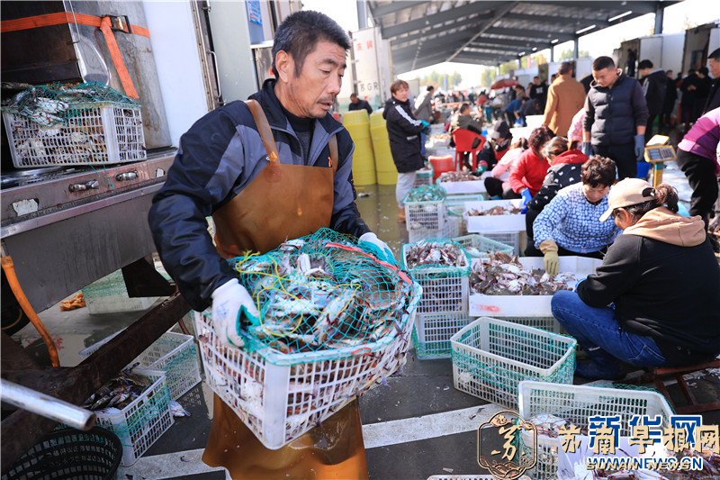 江苏连云港：梭子蟹迎来秋捕丰收季