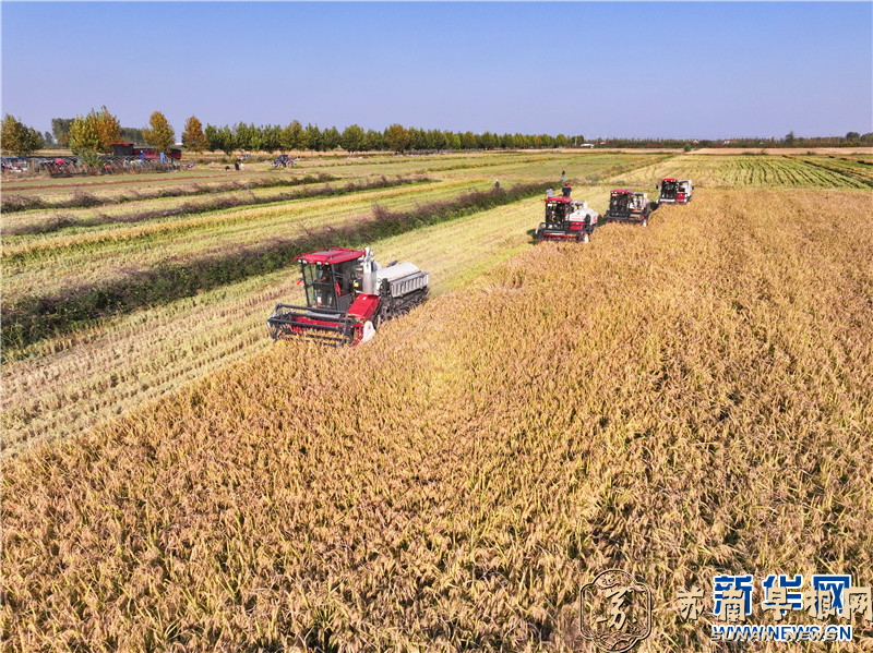 江苏连云港：田间农事忙