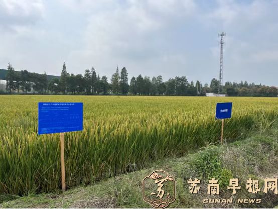 3df4ab54c5a2fe5102dded37ff18e6dd.jpg 3.jpg