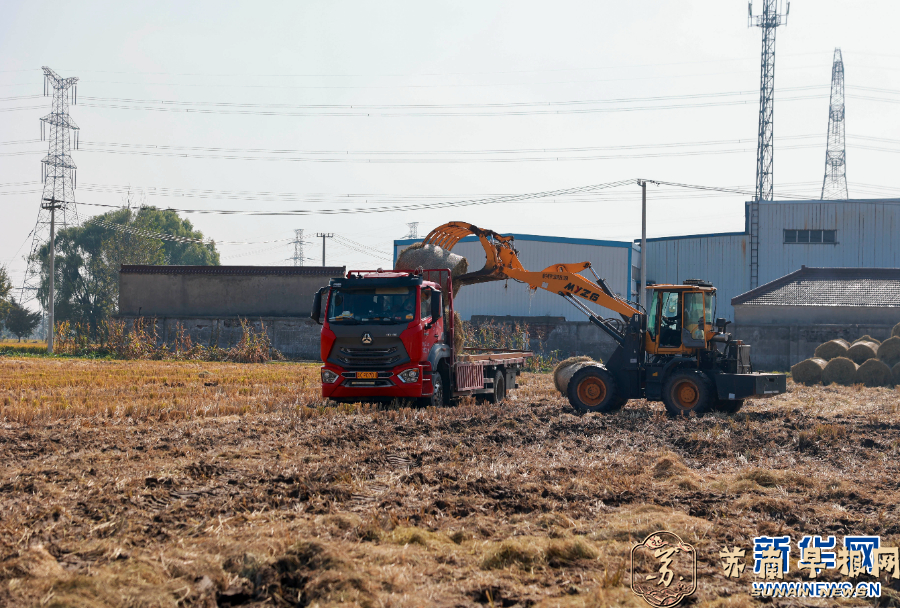 江苏泰兴：秸秆利用 变废为宝