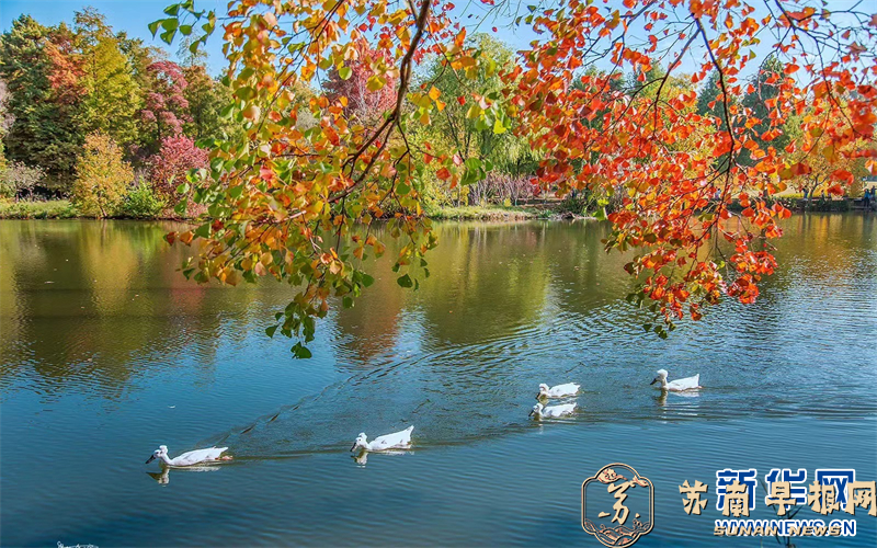 南京：初冬时节月牙堤景美如画