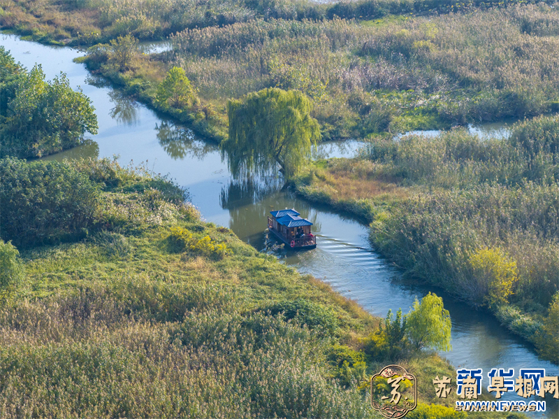 江苏兴化：徐马荒湿地景色美