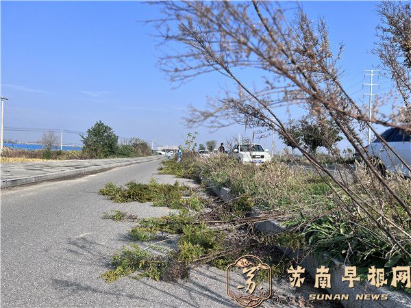 e392d61fab0ef7f0c151a1dd26de7172.jpg QQ图片20241122153222.jpg