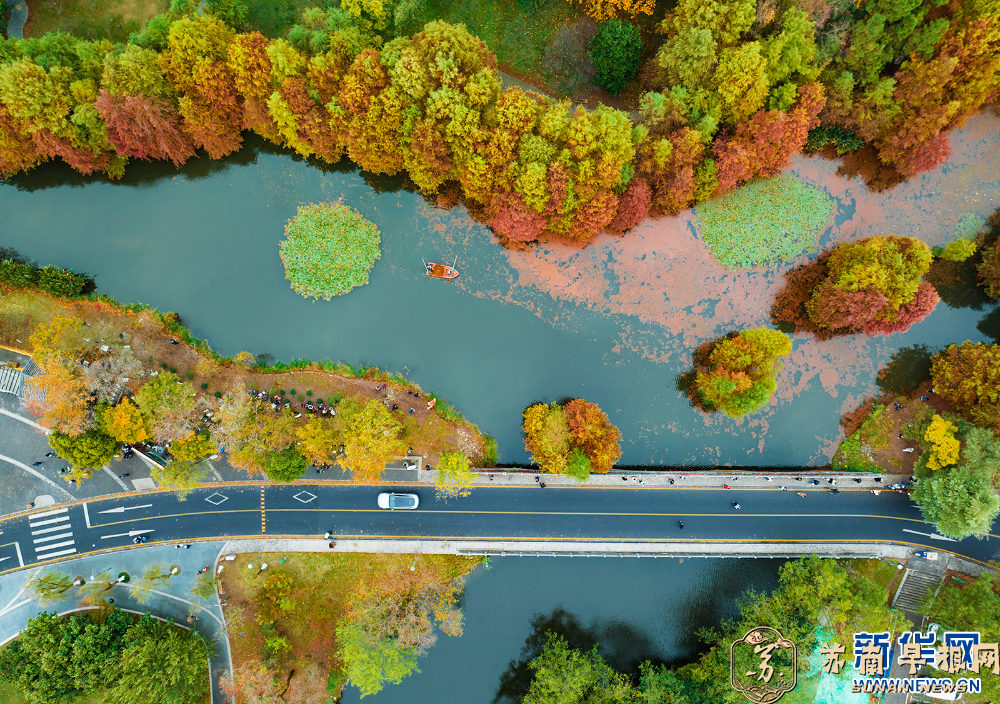 初冬，南京燕雀湖美成油画