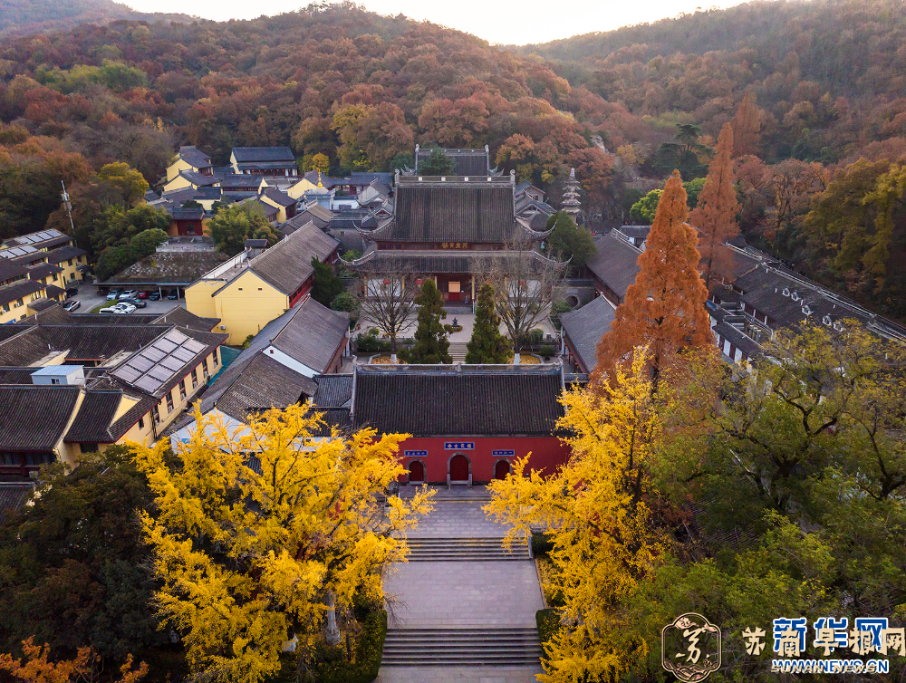 南京栖霞山的枫叶红了，美如油画！