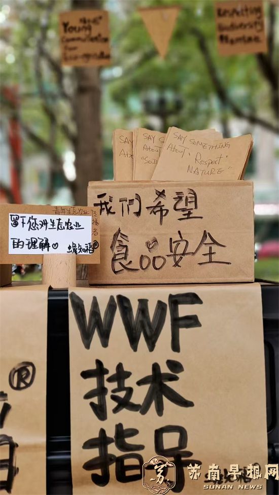 &ldquo;蟾知稻&rdquo;生态大米荣获第五届国际米食味品鉴大会&ldquo;金奖&rdquo;