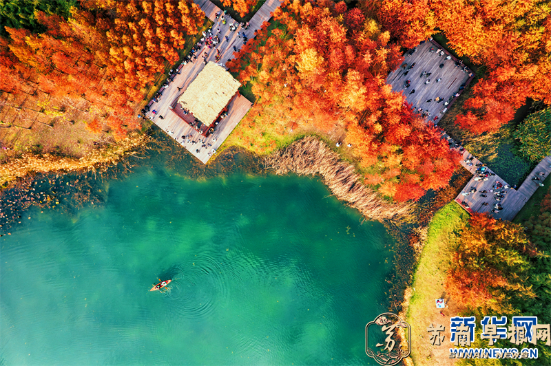 江苏苏州：来虎丘湿地看&ldquo;水上焰火&rdquo;