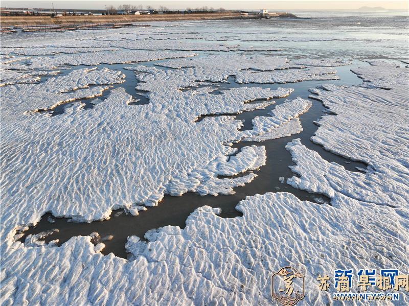 连云港海滨出现冰凌景观