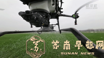 春暖一线看生产丨春回江淮农事忙