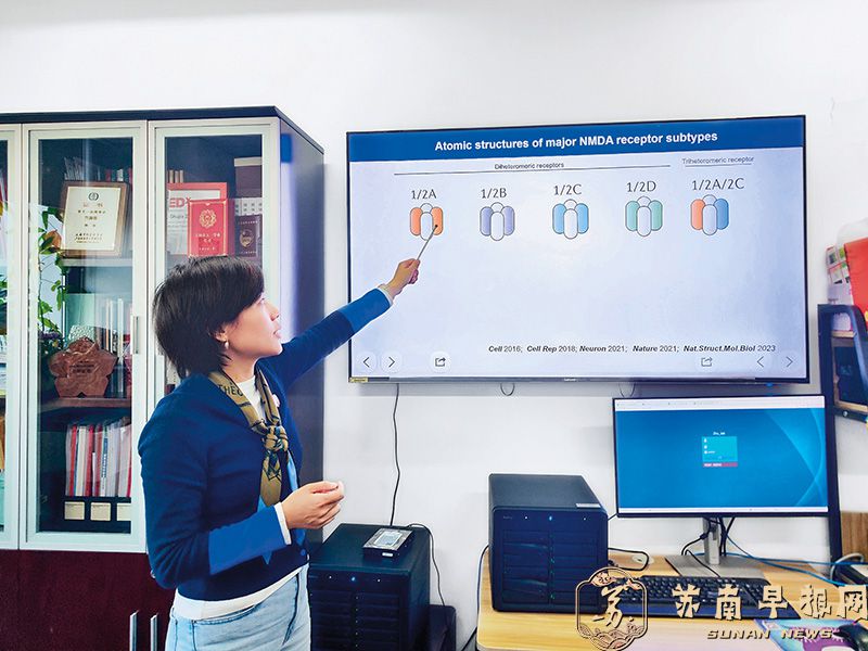 瞭望 | 上海基础研究&ldquo;高产&rdquo;探密