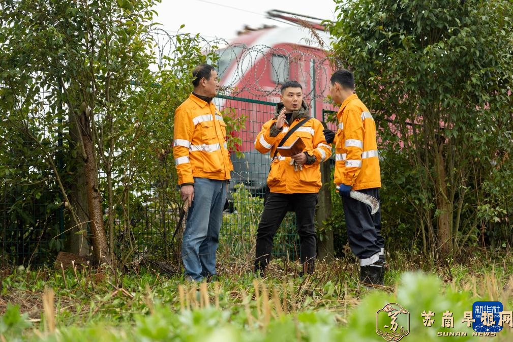 铁路沿线的绿色&ldquo;美容师&rdquo;