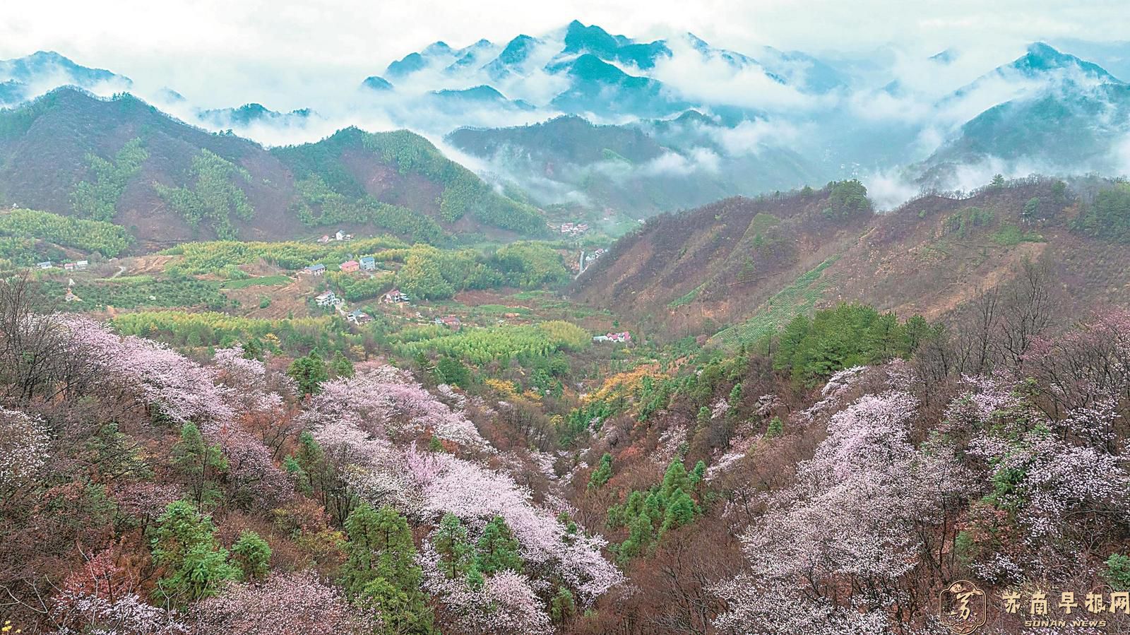 春天里，总要来一趟安徽吧！