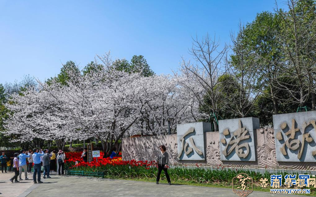 浙江绍兴：春季花海开启赏花热