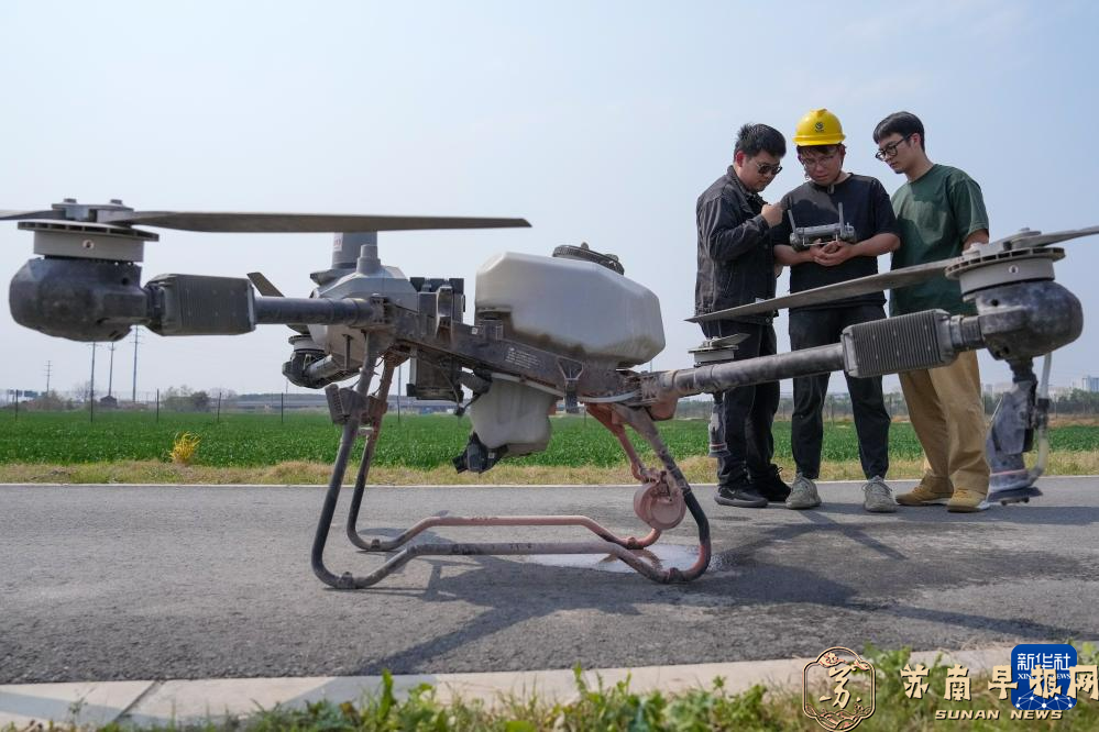 江苏昆山：新农人绘制新&ldquo;丰&rdquo;景