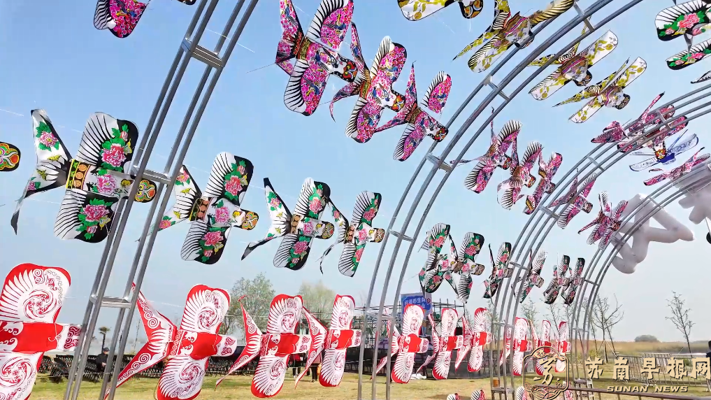 春满胜景文旅旺｜江苏淮安：春风纸鸢舞 乐享山水间