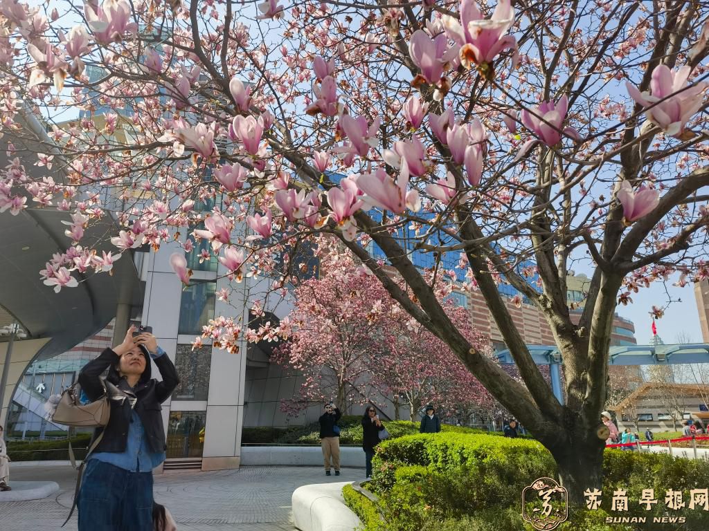 &ldquo;踏青+&rdquo;释放文旅消费潜力