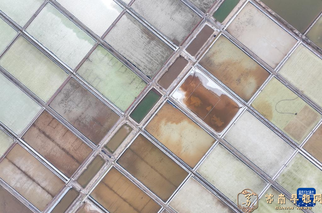 江苏连云港：万亩盐田春季扒盐忙