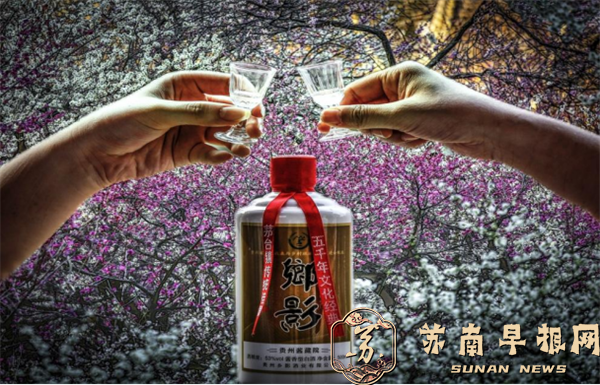 《我们的节日 》（清明篇）2全国摄影比赛揭晓(1)1631.png