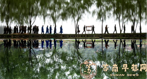 《我们的节日 》（清明篇）2全国摄影比赛揭晓(1)1492.png