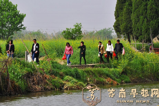 《我们的节日 》（清明篇）2全国摄影比赛揭晓(1)1512.png