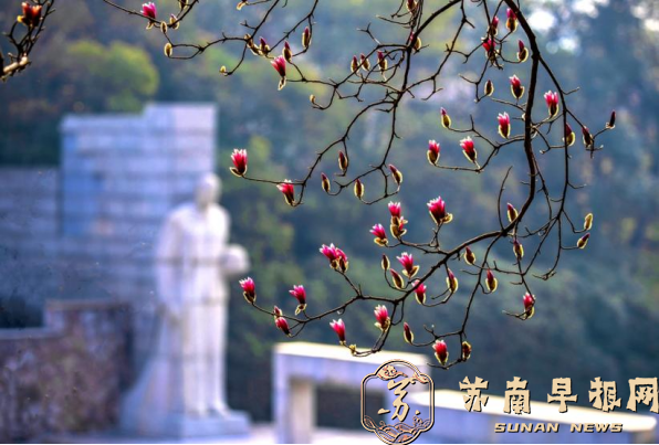 《我们的节日 》（清明篇）2全国摄影比赛揭晓(1)1334.png